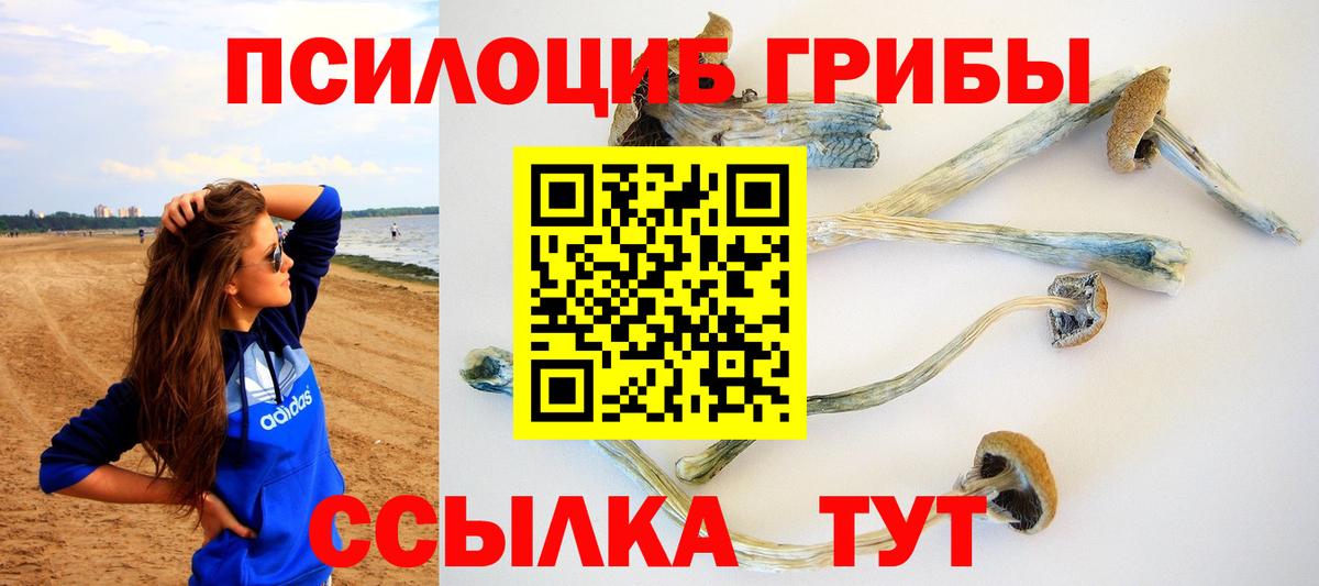 Псилоцибиновые грибы ЛСД  Псилоцибиновые грибы MAGIC MUSHROOMS  Серпухов  Вход с VPN 